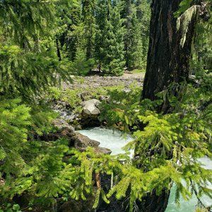 Meet your Posher, Amani